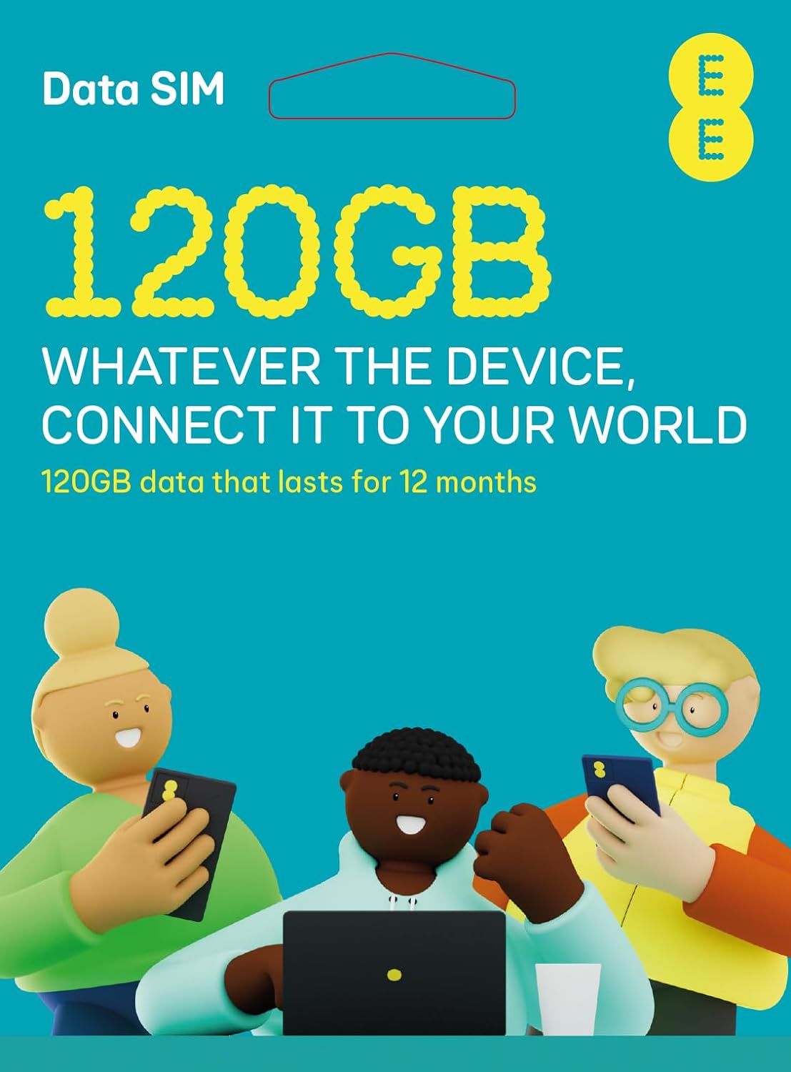 EE 120GB Data Sim