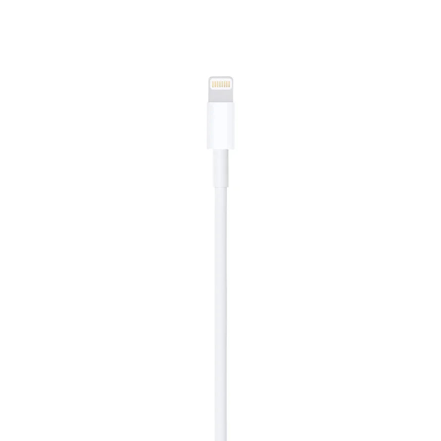 Apple Lightning USB Cable 1M