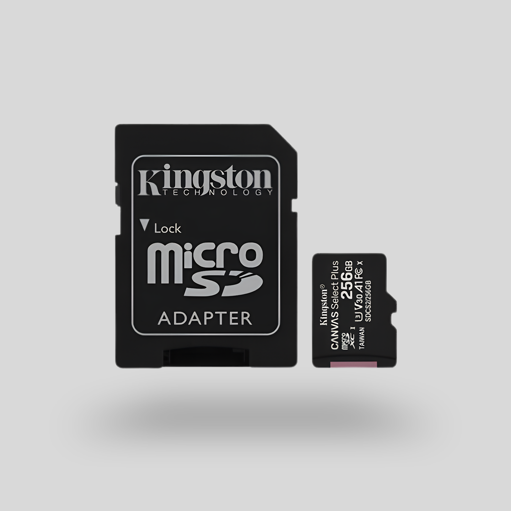 Kingston Canvas Plus microSD 256GB