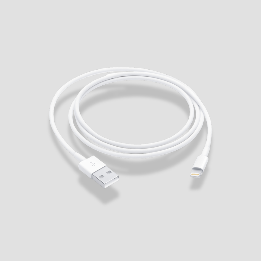 Apple Lightning USB Cable 1M